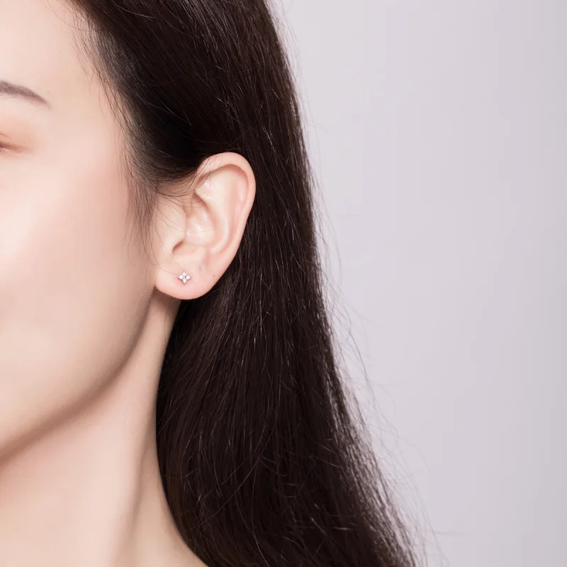 (imagem para) Brincos Petit Flor de luz estilo Pandora - SCE648 - Visualizar 7