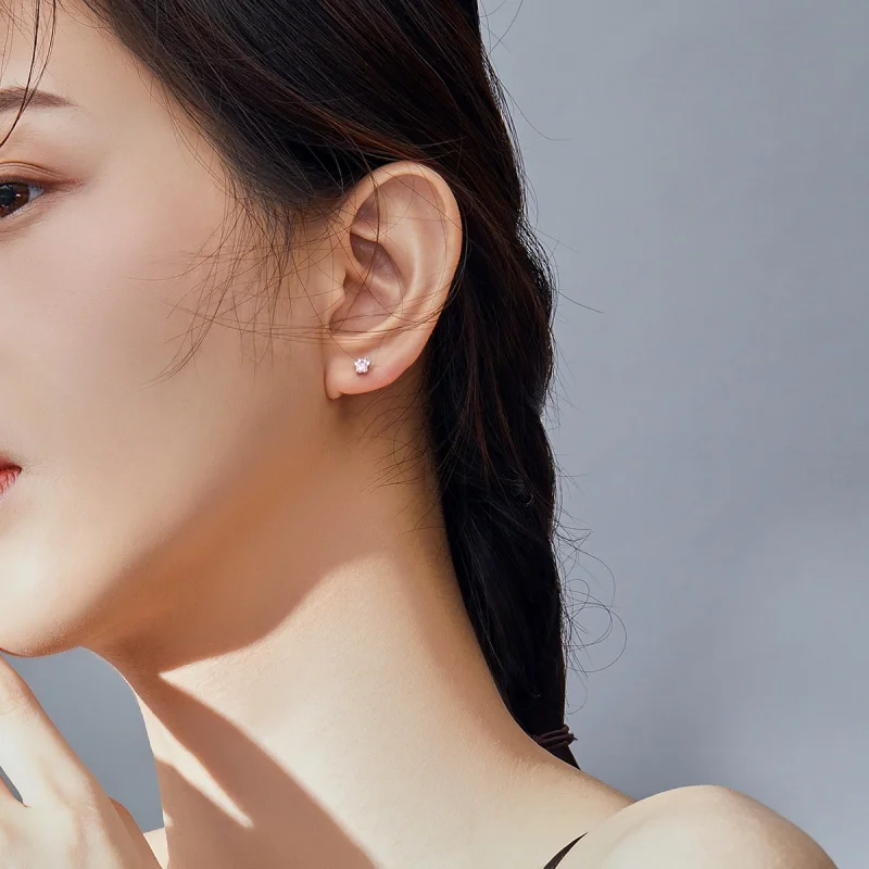 (imagem para) Brincos Petit Garras Brotantes estilo Pandora - SCE781 - Visualizar 6