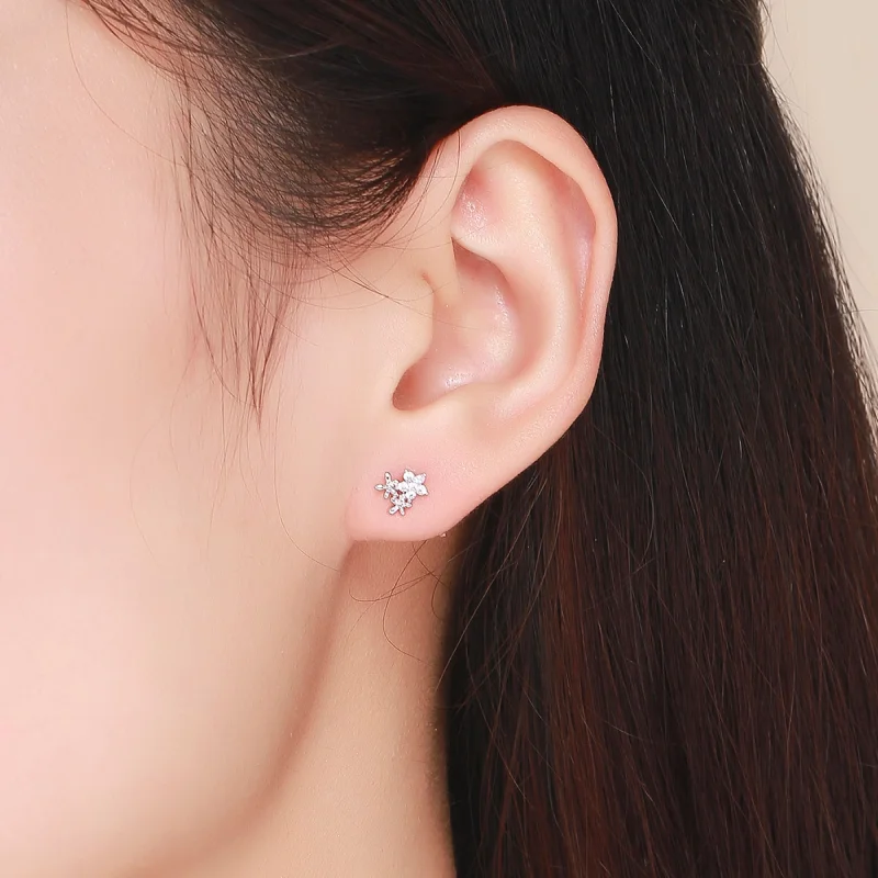 (imagem para) Brincos Petit Gypsophila estilo Pandora - BSE030 - Visualizar 5