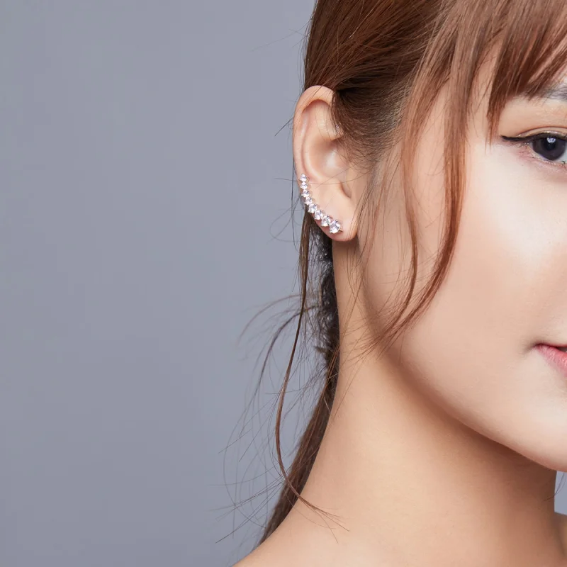 (imagem para) Brincos Petit Luz brilhante estilo Pandora - SCE920 - Visualizar 7