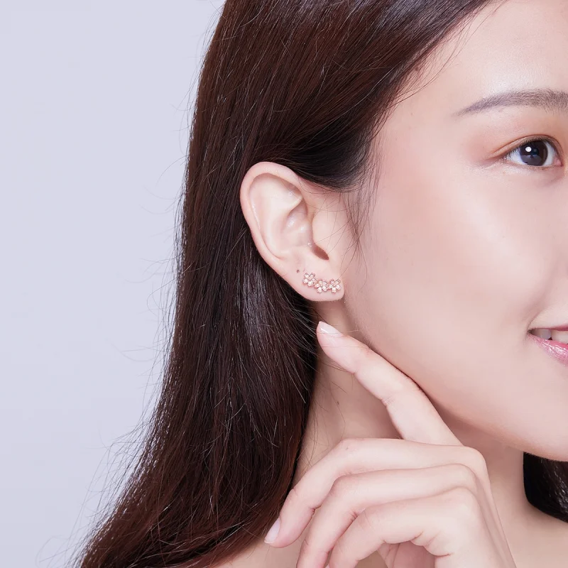 (imagem para) Brincos Petit Margarida Contraída estilo Pandora Rose - SCE419-C - Visualizar 4