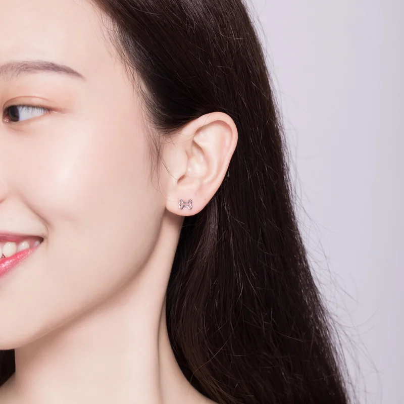 (imagem para) Brincos Petit pata com orifícios estilo Pandora - SCE649 - Visualizar 7