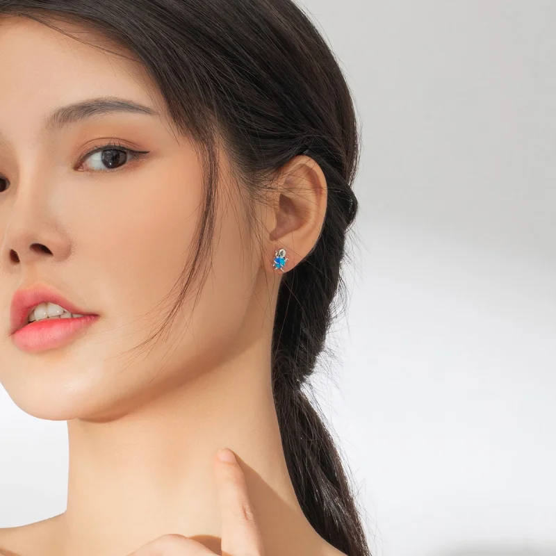 (imagem para) Brincos Petit Polvo adorável estilo Pandora - SCE881 - Visualizar 5