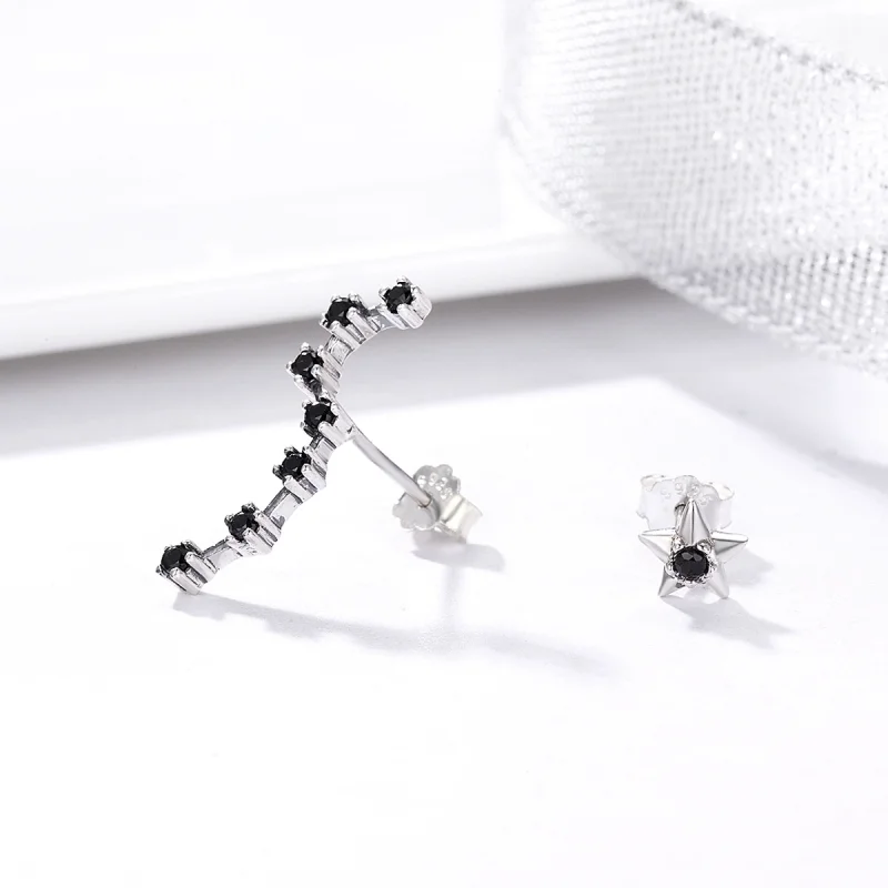 (imagem para) Brincos Petit Ursa Maior estilo Pandora - SCE166 - Visualizar 5