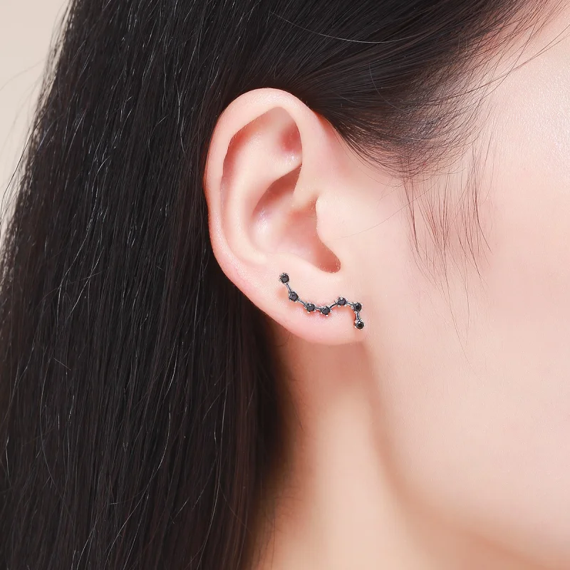 (imagem para) Brincos Petit Ursa Maior estilo Pandora - SCE166 - Visualizar 7