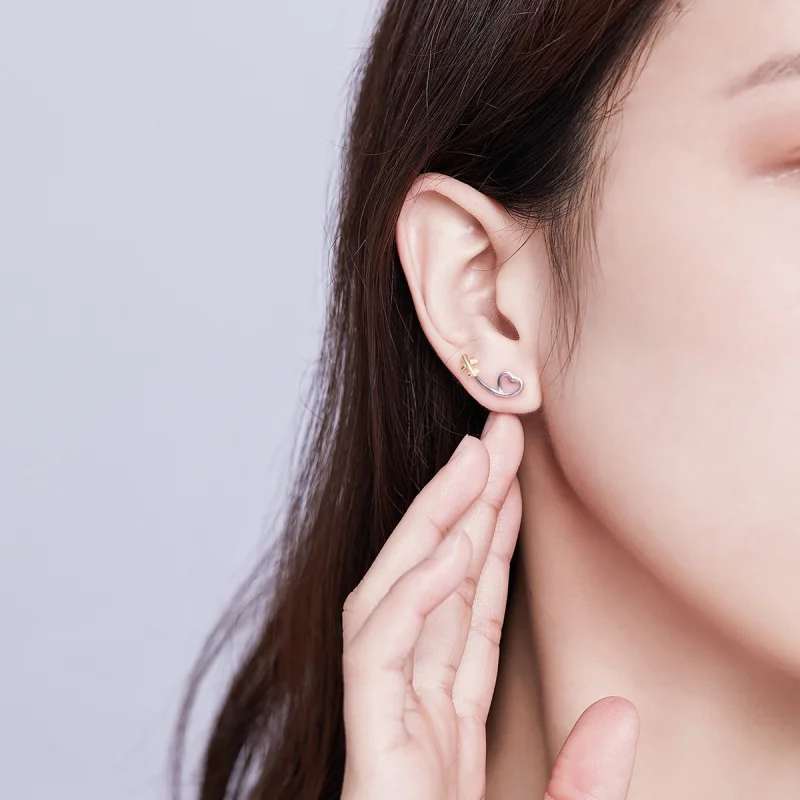 (imagem para) Brincos Petit Voar para o amor estilo Pandora - SCE632 - Visualizar 7