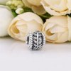 Charm berloques PANDORA Recomeço - 797597CZ