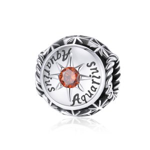 Charm Aquário Brilhante estilo Pandora - SCC1725-11 Charm Aquário Brilhante estilo Pandora - SCC1725-11