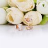 Brinco PANDORA Rose™ Cristais De Gelo