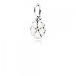 Colar PANDORA Flores do Campo - 390365EN12