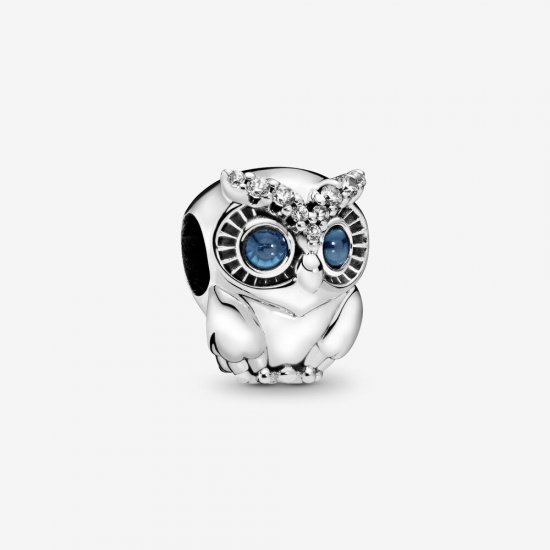 Charm Coruja Misteriosa - 798397NBCB  Clique na imagem para fechar