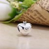 Club Charm 2015, Pandora club 2015 silver charm