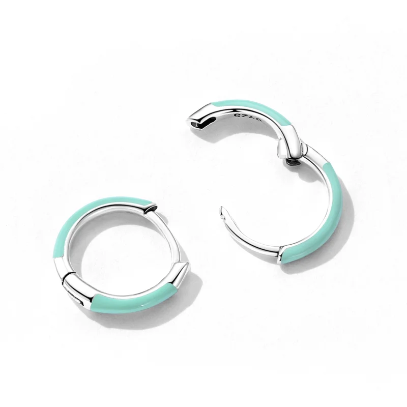 (imagem para) Pandora Style Double Circle Hoop Earrings - SCE1454 - Visualizar 4