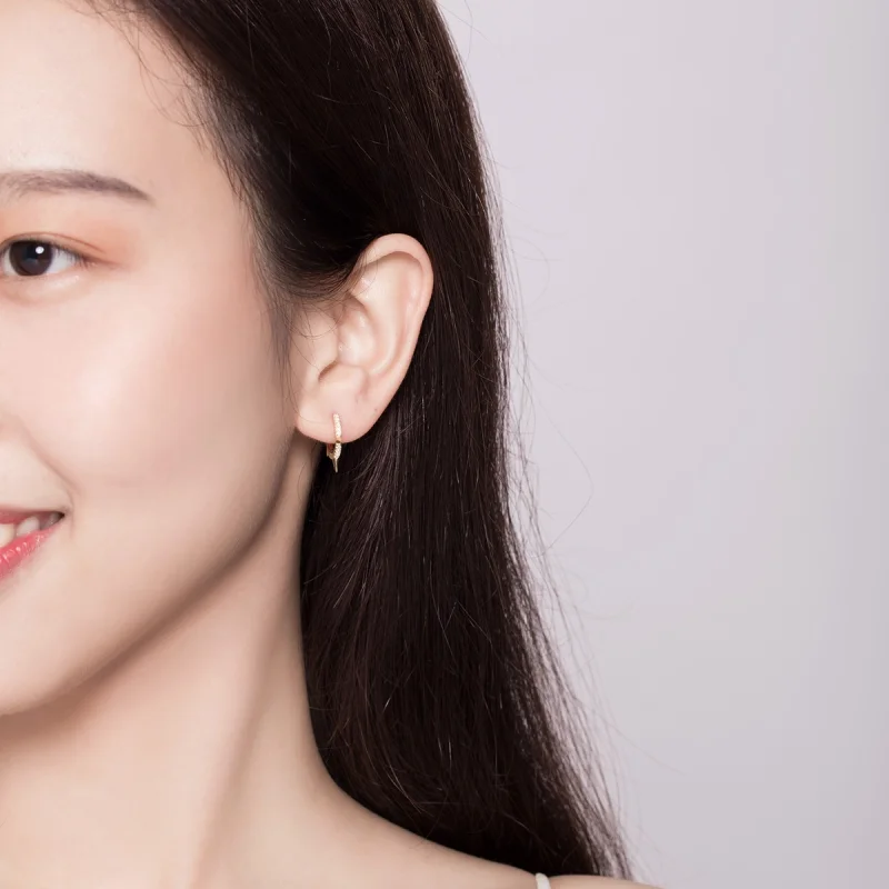 (imagem para) Pandora Style Irregular Geometry Hoop Earrings - BSE168 - Visualizar 5