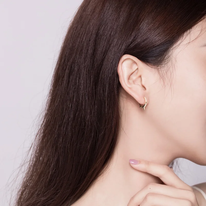 (imagem para) Pandora Style Irregular Geometry Hoop Earrings - BSE168 - Visualizar 6