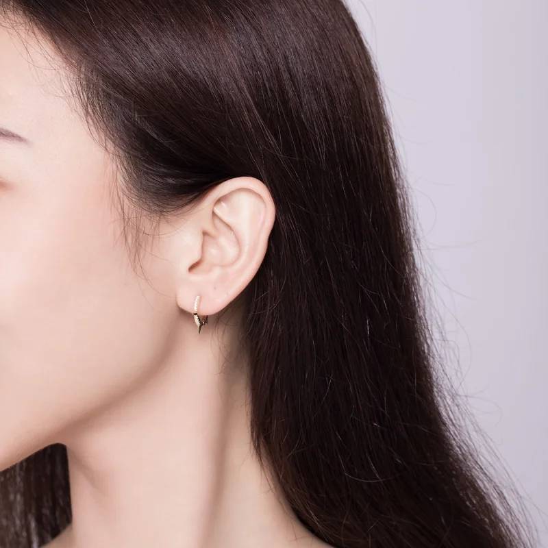 (imagem para) Pandora Style Irregular Geometry Hoop Earrings - BSE168 - Visualizar 7