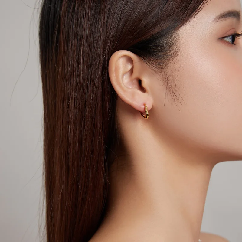 (imagem para) Pandora Style Metal Heart Hoop Earrings - SCE1174-B - Visualizar 5