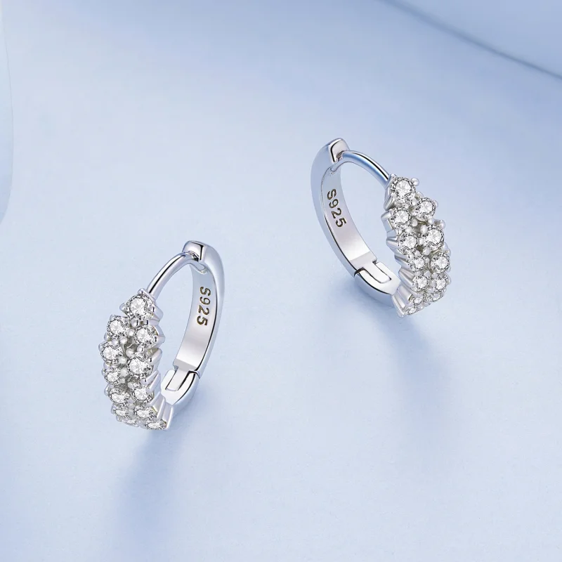 (imagem para) Pandora Style Refined Zircon Hoop Earrings - BSE730 - Visualizar 3