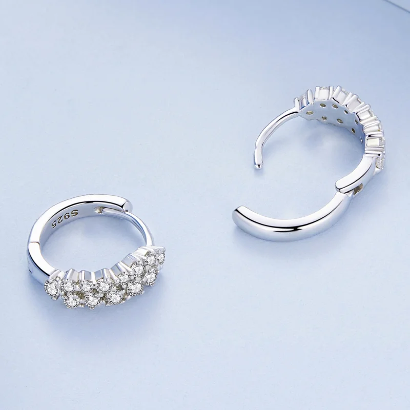 (imagem para) Pandora Style Refined Zircon Hoop Earrings - BSE730 - Visualizar 4
