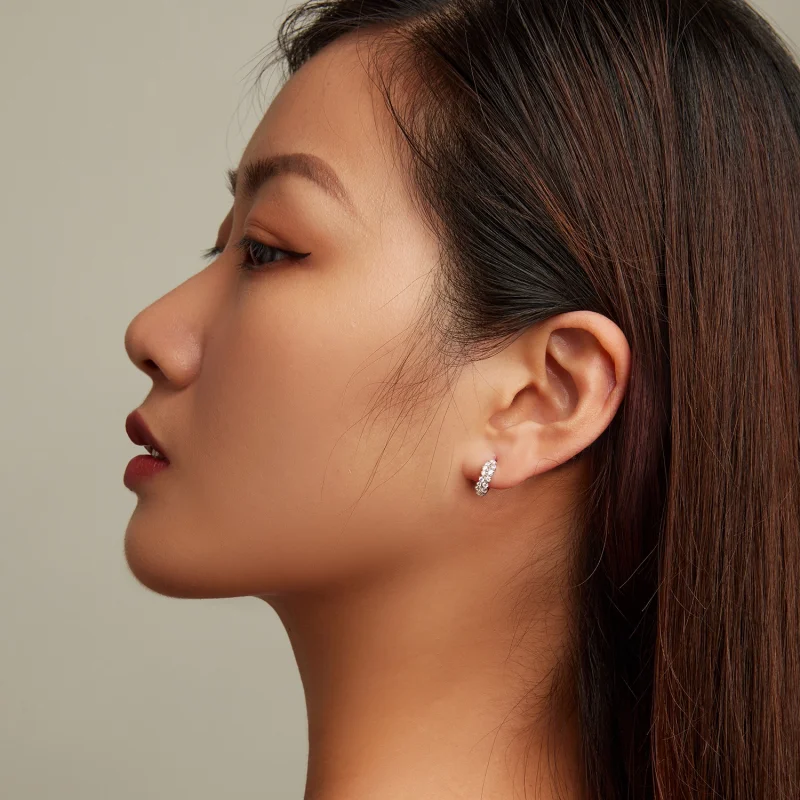 (imagem para) Pandora Style Refined Zircon Hoop Earrings - BSE730 - Visualizar 7