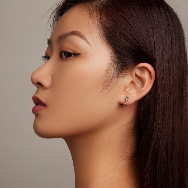 (imagem para) Pandora Style Roses Hoop Earrings - BSE716 - Visualizar 6