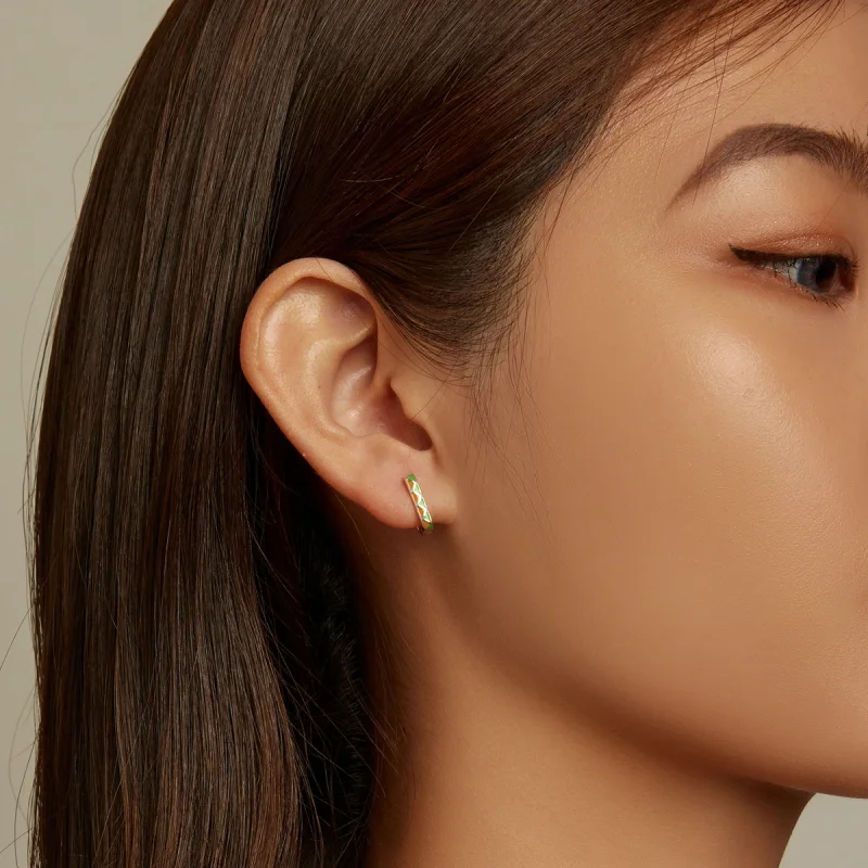 (imagem para) Pandora Style Simple Color Contrast Hoop Earrings - SCE1371-GN - Visualizar 7