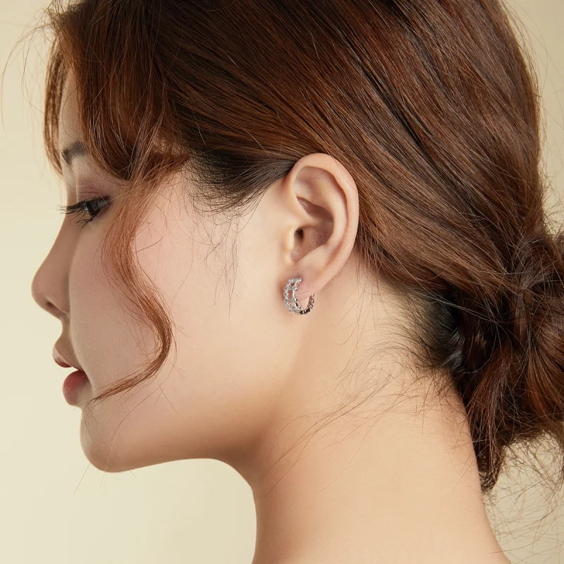 (imagem para) Pandora Style Simple Double Layer Hoop Earrings - BSE458 - Visualizar 8