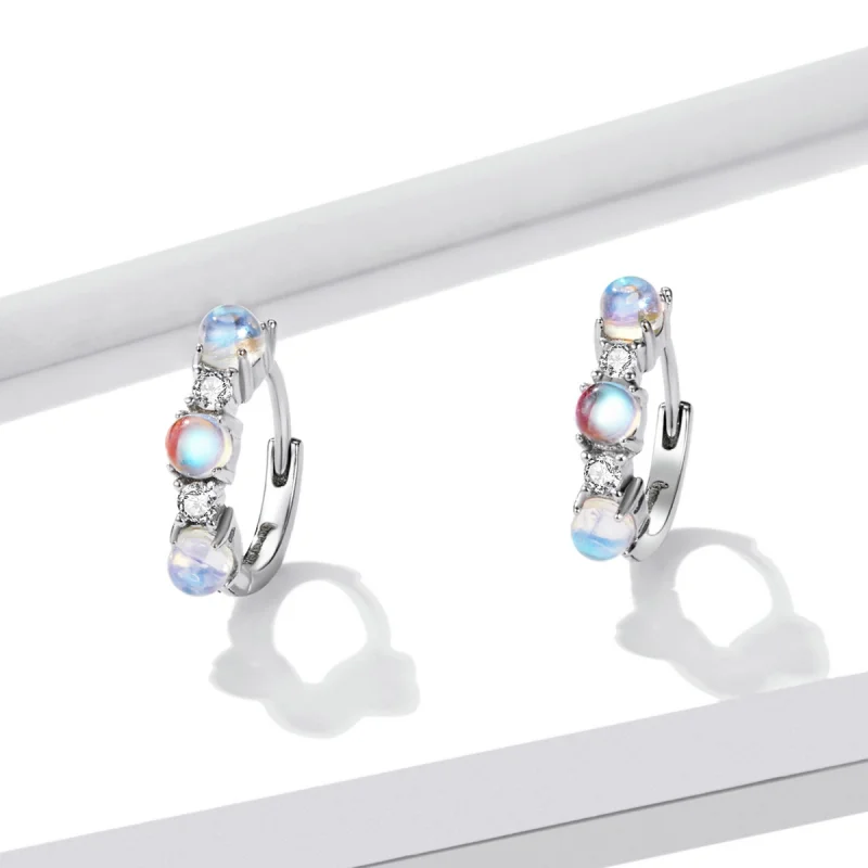 (imagem para) Pandora Style Simple Hoop Earrings - BSE532 - Visualizar 2