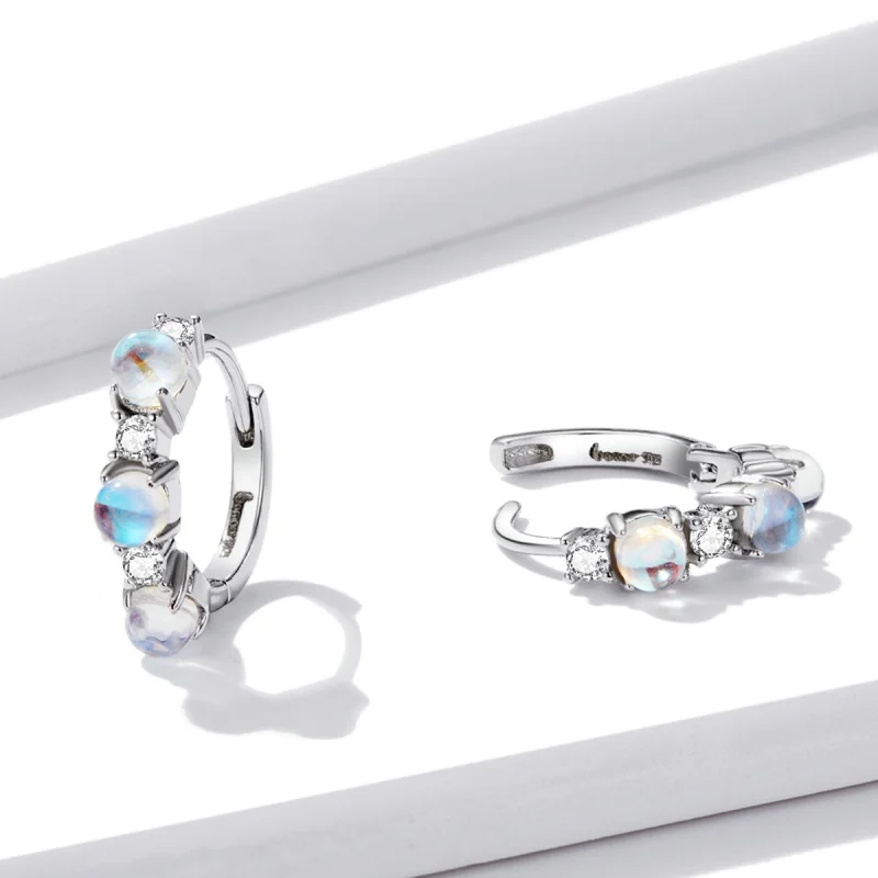 (imagem para) Pandora Style Simple Hoop Earrings - BSE532 - Visualizar 3