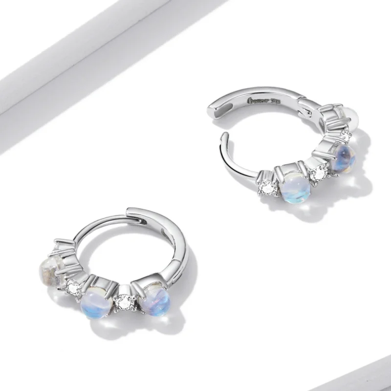 (imagem para) Pandora Style Simple Hoop Earrings - BSE532 - Visualizar 4