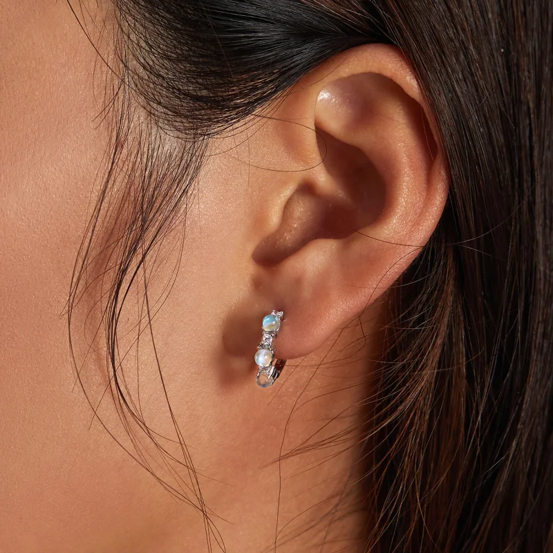 (imagem para) Pandora Style Simple Hoop Earrings - BSE532 - Visualizar 7