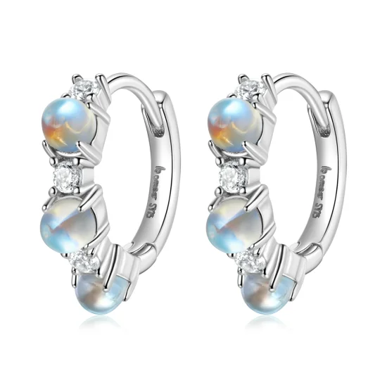 (imagem para) Pandora Style Simple Hoop Earrings - BSE532