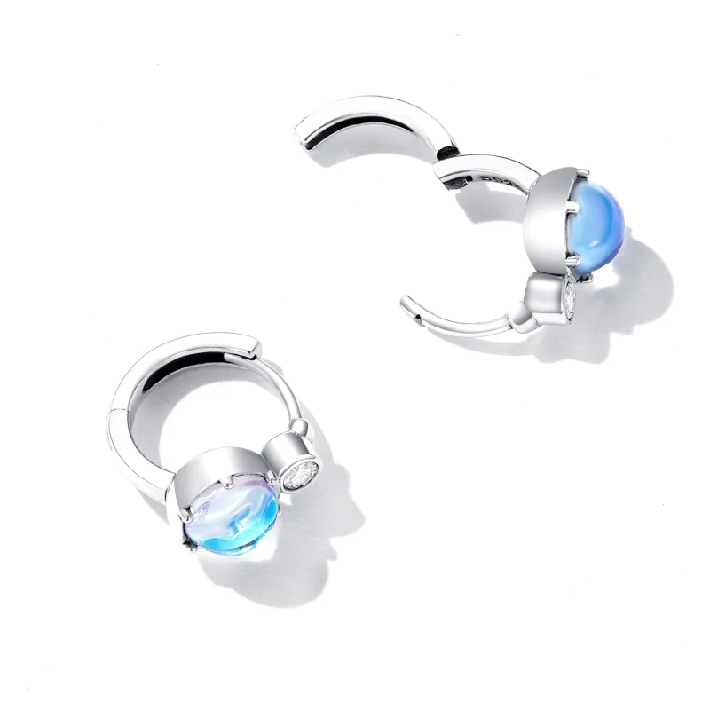 (imagem para) Pandora Style Simple Symphony Hoop Earrings - SCE1411 - Visualizar 3