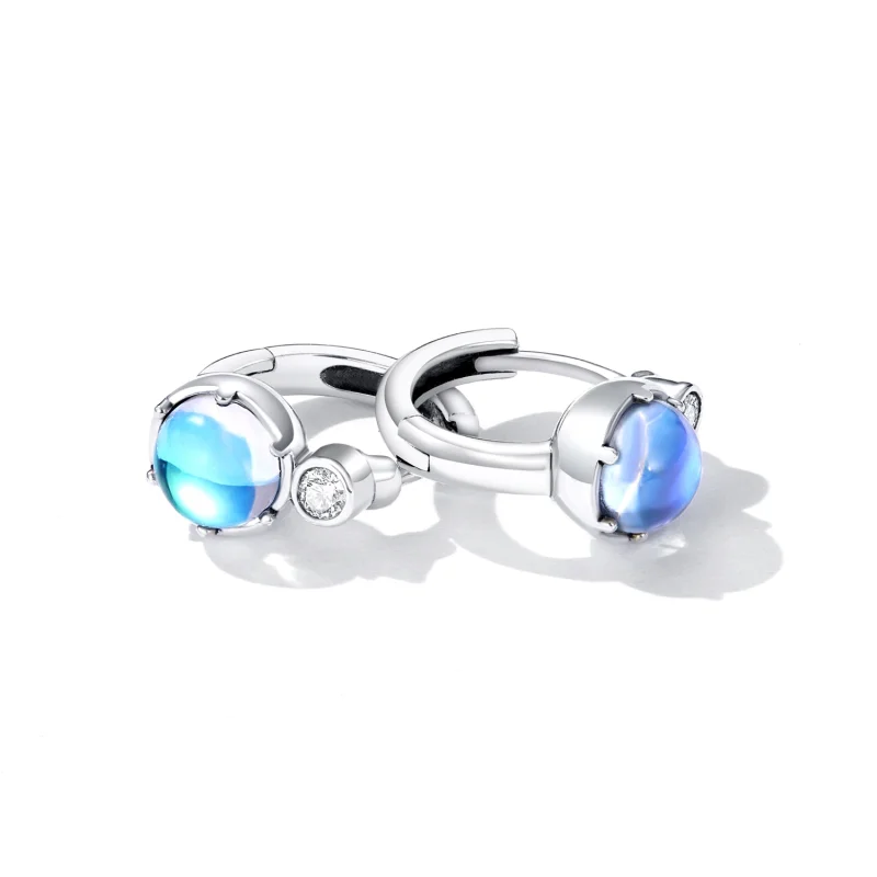 (imagem para) Pandora Style Simple Symphony Hoop Earrings - SCE1411 - Visualizar 4