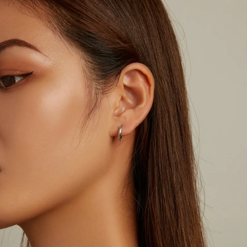 (imagem para) Pandora Style Snake Pattern Hoop Earrings - SCE1354 - Visualizar 6