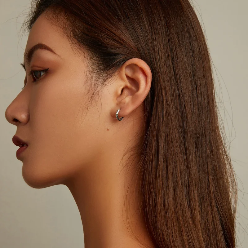 (imagem para) Pandora Style Snake Pattern Hoop Earrings - SCE1354 - Visualizar 7