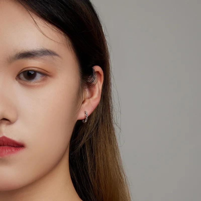 (imagem para) Pandora Style Twisted Rope Hoop Earrings - SCE1432 - Visualizar 6