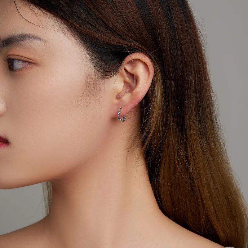 (imagem para) Pandora Style Twisted Rope Hoop Earrings - SCE1432 - Visualizar 7