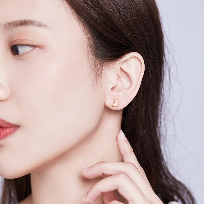 (imagem para) Pandora Style Asymmetric Moon Stud Earrings - SCE691 - Visualizar 6