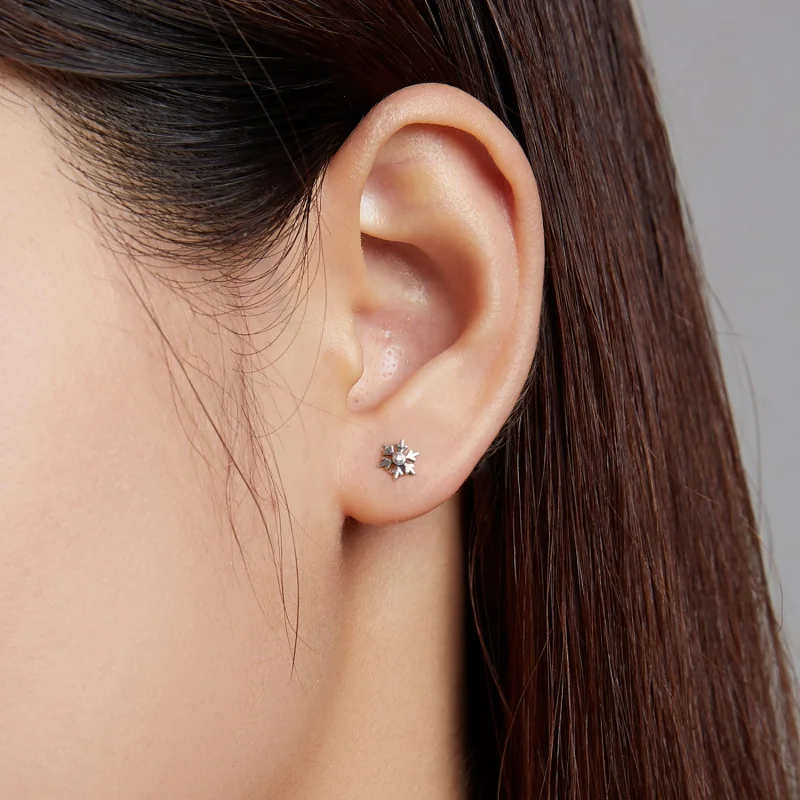 (imagem para) Pandora Style Beautiful Snowflakes Stud Earrings - BSE529 - Visualizar 6