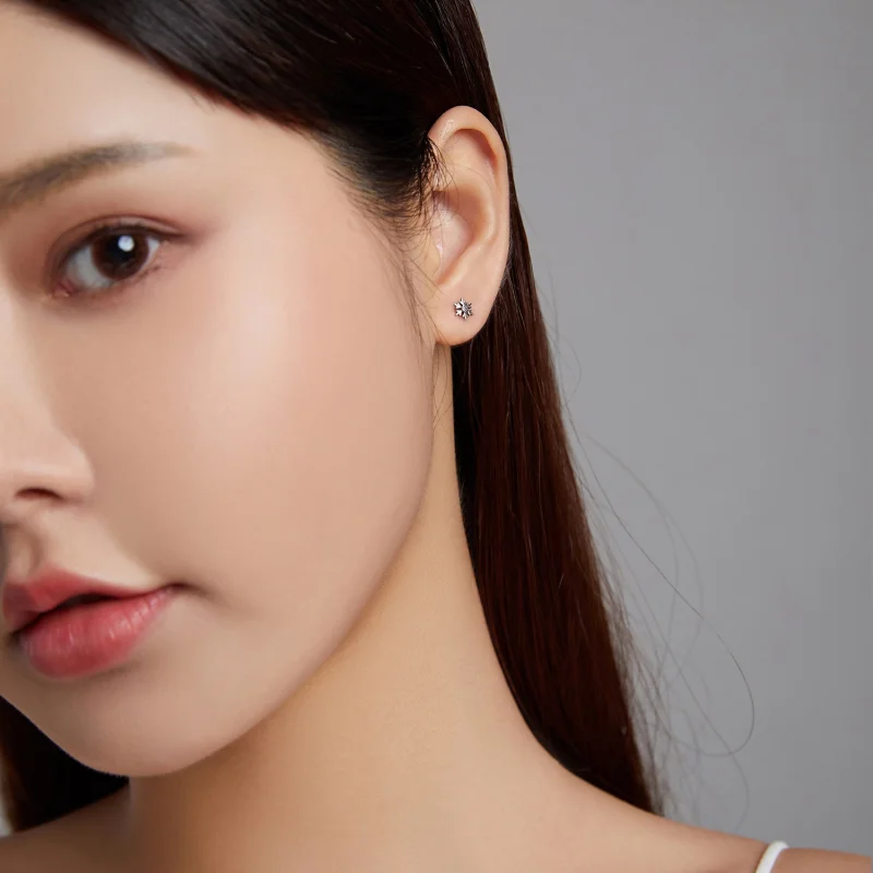 (imagem para) Pandora Style Beautiful Snowflakes Stud Earrings - BSE529 - Visualizar 7