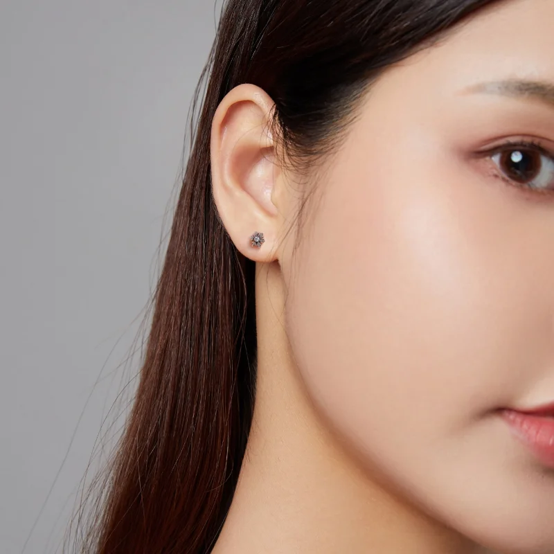 (imagem para) Pandora Style Beautiful Snowflakes Stud Earrings - BSE529 - Visualizar 8