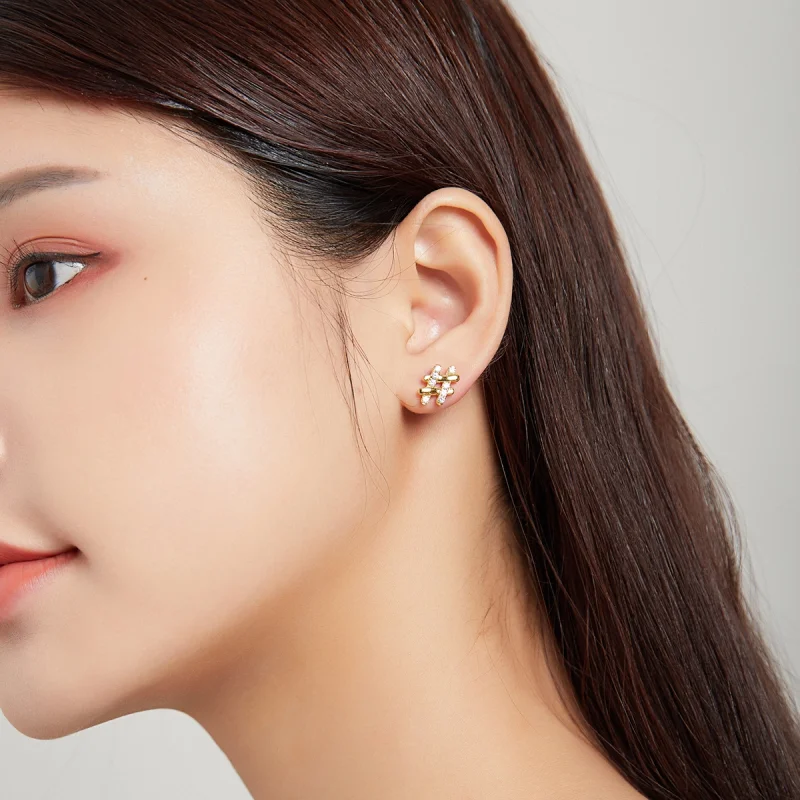 (imagem para) Pandora Style Secret Symbol - # Stud Earrings - SCE1071 - Visualizar 5