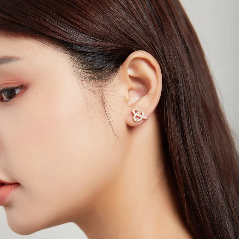 (imagem para) Pandora Style Secret Symbol - & Stud Earrings - SCE1072 - Visualizar 4