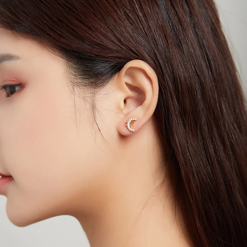 (imagem para) Pandora Style Secret Symbol - € Stud Earrings - SCE1074 - Visualizar 5