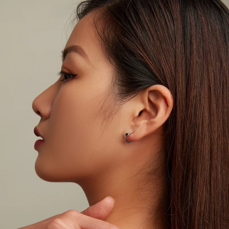 (imagem para) Pandora Style Vintage Black Zircon Stud Earrings - SCE1520 - Visualizar 7