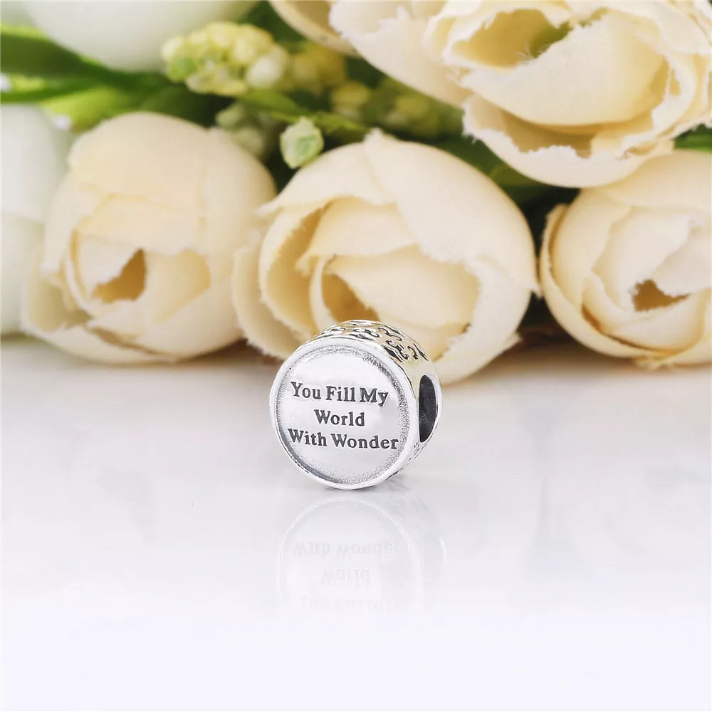 Charm Aladdin - 798039ENMX