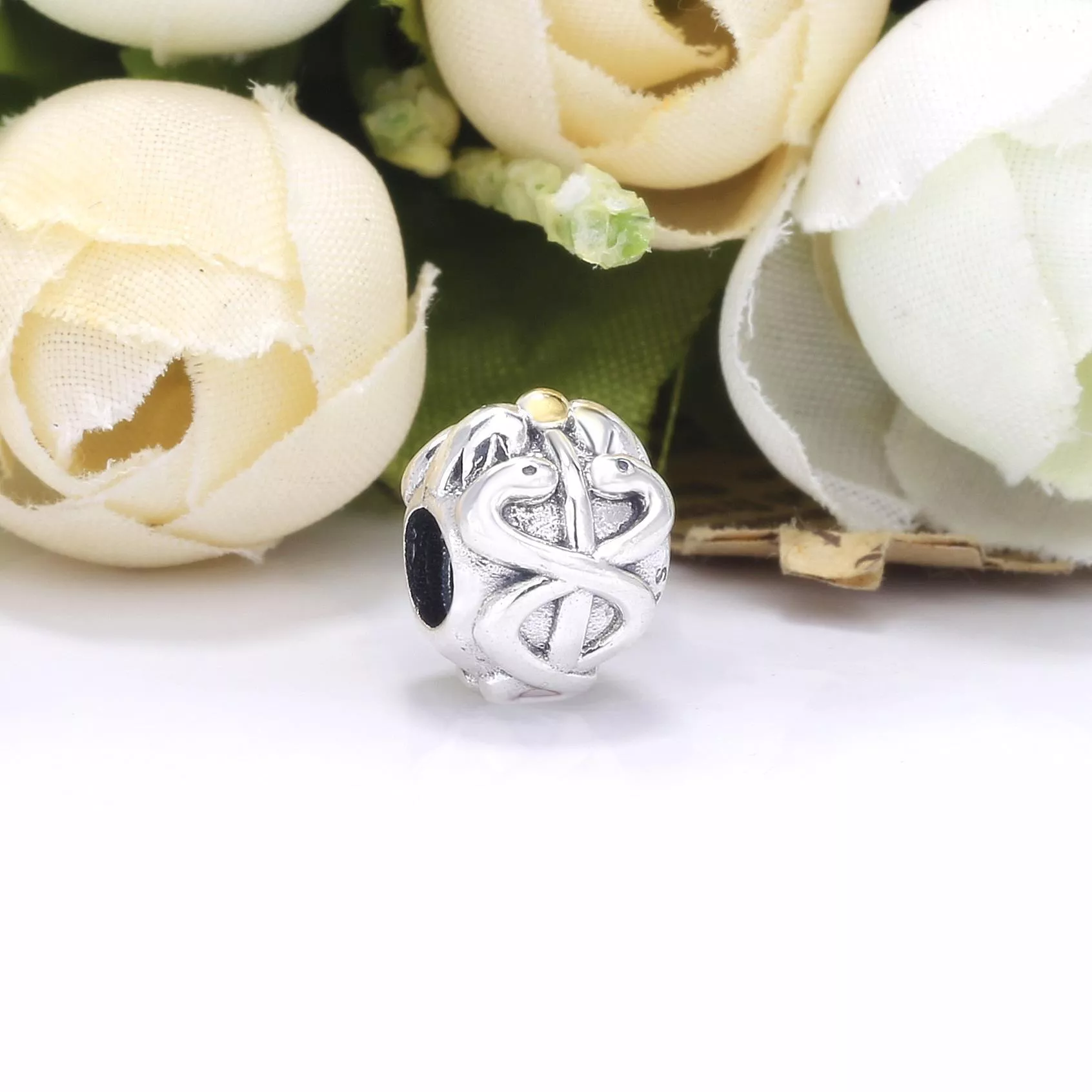 Charm Médico Pandora - 791042