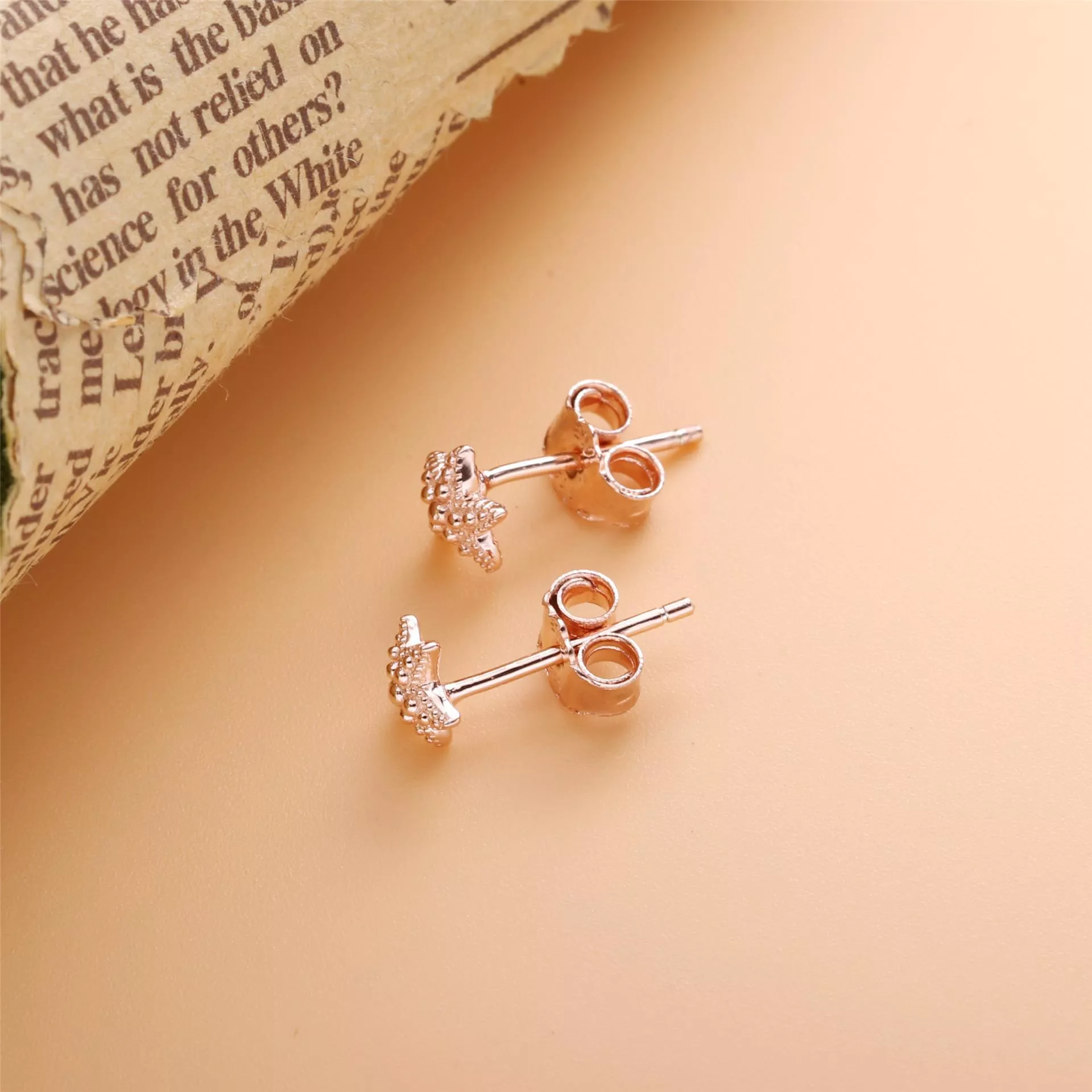 Brincos Petit Estrela-do-mar Pandora Rose - 288956C00