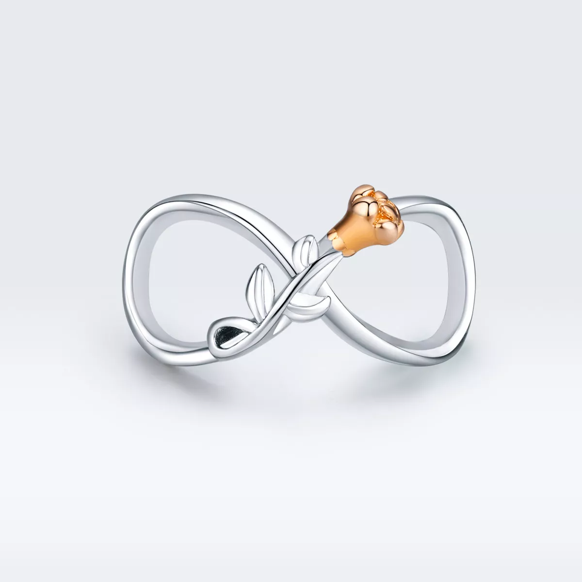Charm Amor infinito life Pandora - SCC1463